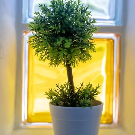 Scick 度假居 克罗托内